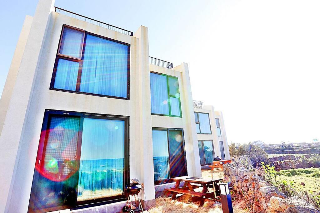 Coveted Palms Village Pension Jeju Dış mekan fotoğraf